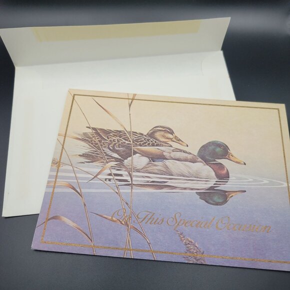 Vintage Mallard Duck Greeting Card Pair on Lake with Info Back Blank Inside - Picture 5 of 5